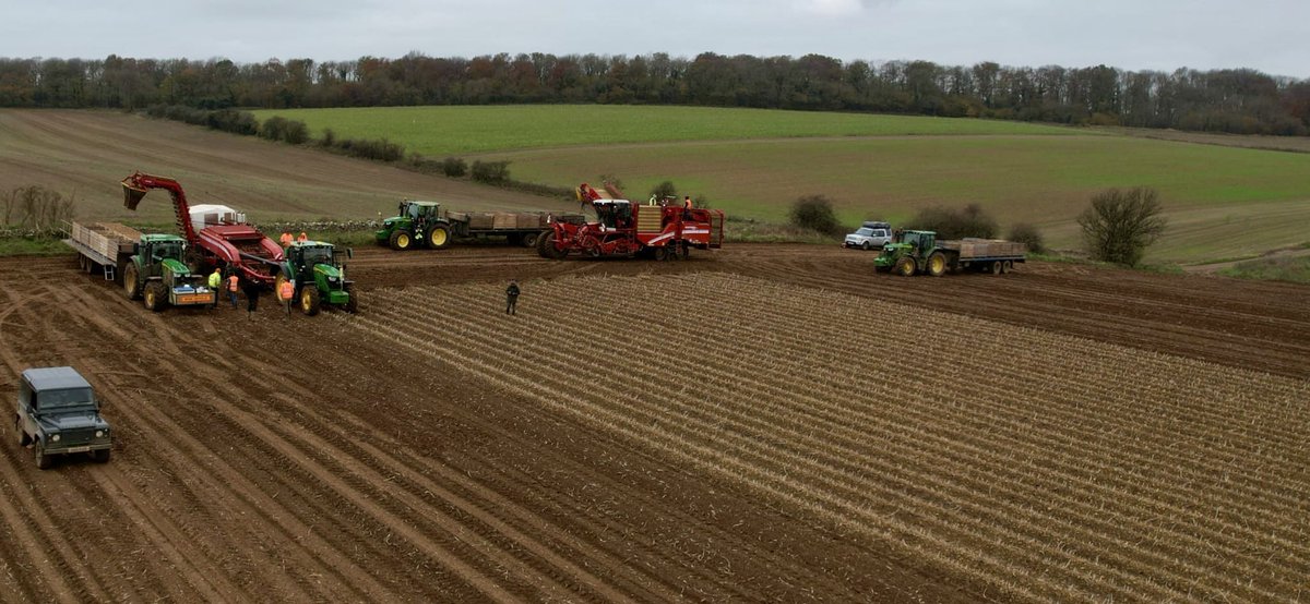 As 2024 comes to an end, we’d like to wish all our staff, customers and suppliers a very Merry Christmas! 🎄🥔🌾 🥗 🎅 
Here’s to a healthy and prosperous 🙏🤞2025!!