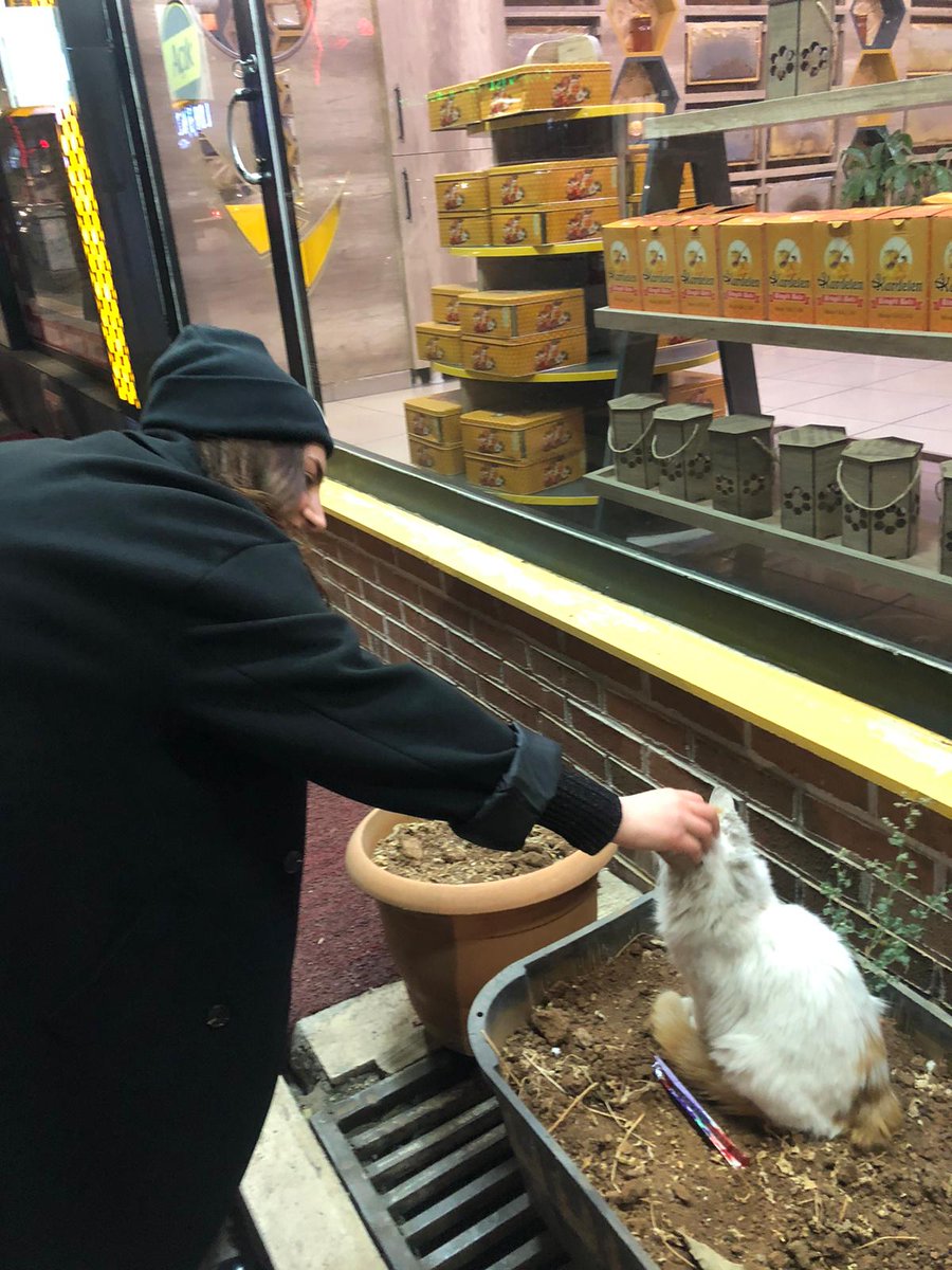 Bi kedi alırım sende anneni çağır ellerim aklında kalbin hep bende kalır 💘✨🤍🦋