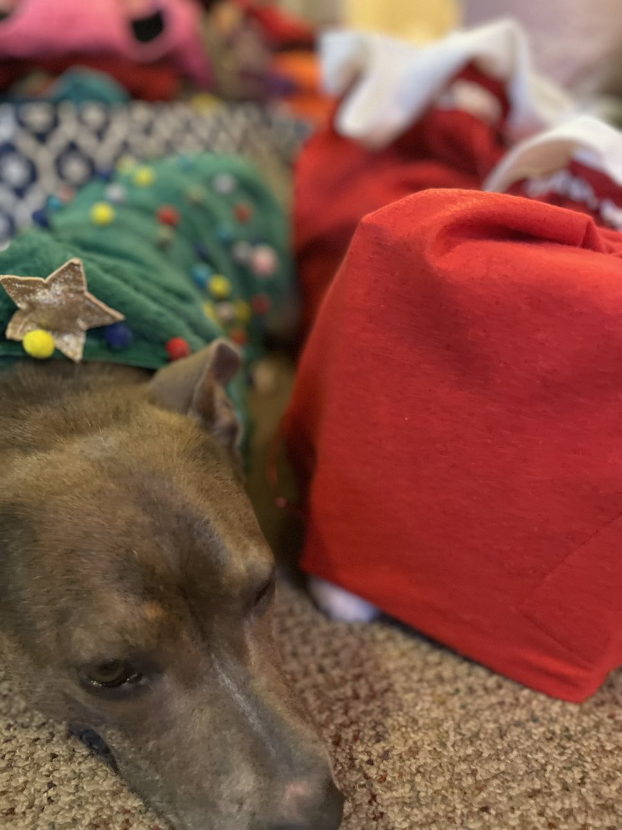 fionaeyork's tweet image. Thank you so much for supporting
chuffed.org/project/119234…
🎄🎄🎁🎁🌲☃️☃️🐾🐾❄️❄️🦀🙏🙏
Gifts, groceries, tents & dog treats ready to deliver
@cjsfpa @CoopRadio @bcfed @COPEVancouver @stopsweepsvan @sqwabb @CBCAlerts
#StoptheSweeps #encampments #CommunityPower #mutualaid