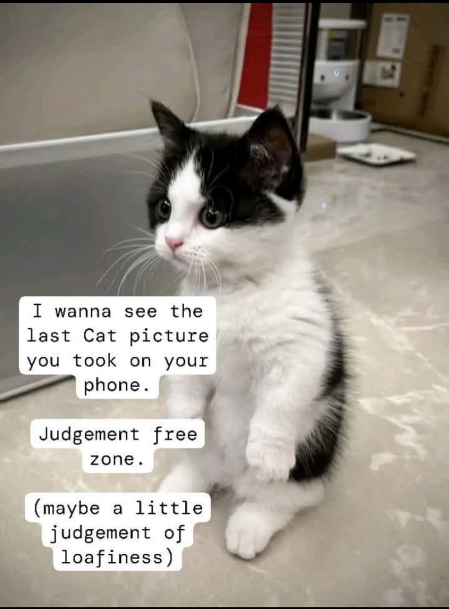 ADHD Memes tweet media