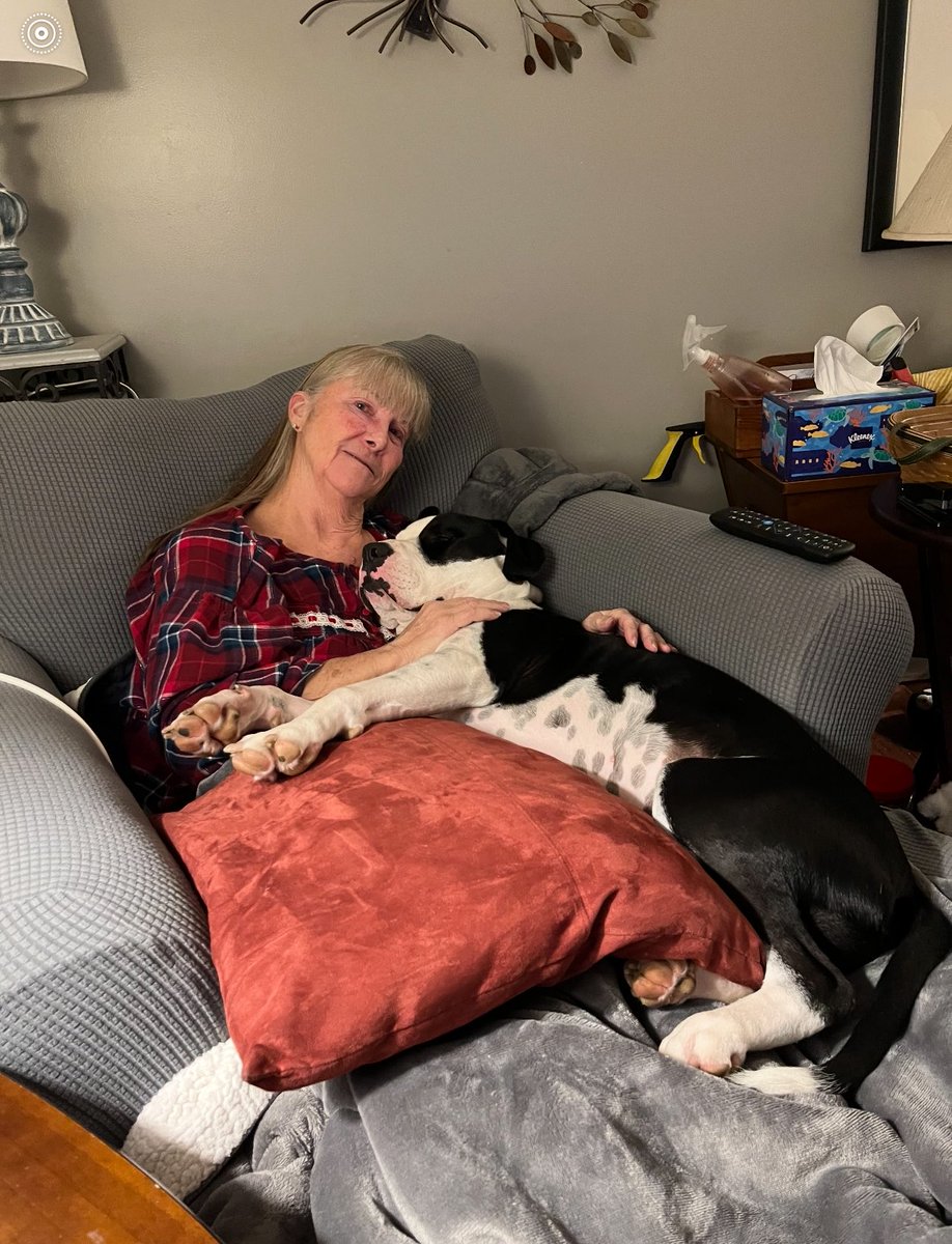 Update!!!
Remember Gordo with the burn down his back? 
Now he’s his mama’s lap dog 🥰!