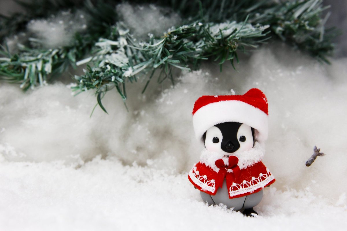 메리크리스마스~🎄

#제프돌스 #작은옷장 #논리정연님수업