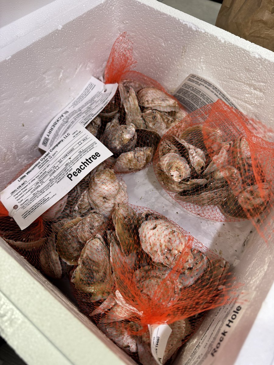 razobe01's tweet photo. Daughters surprised me tonight with an oyster delivery for Christmas Eve game night! #shuckin https://t.co/ABn2n6lkee