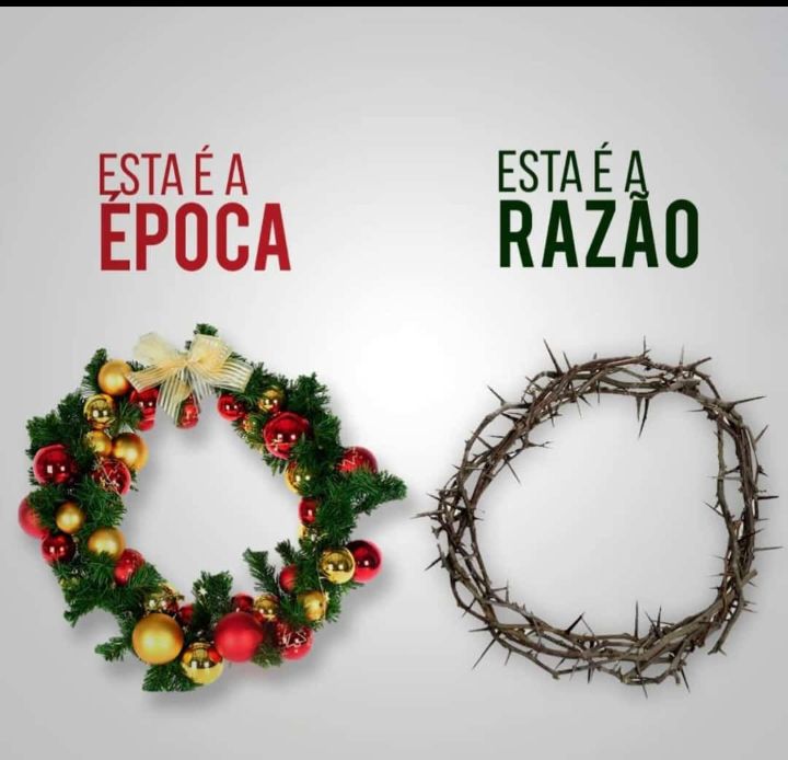PERFIL_DIREITA's tweet image. Boa noite e feliz natal!