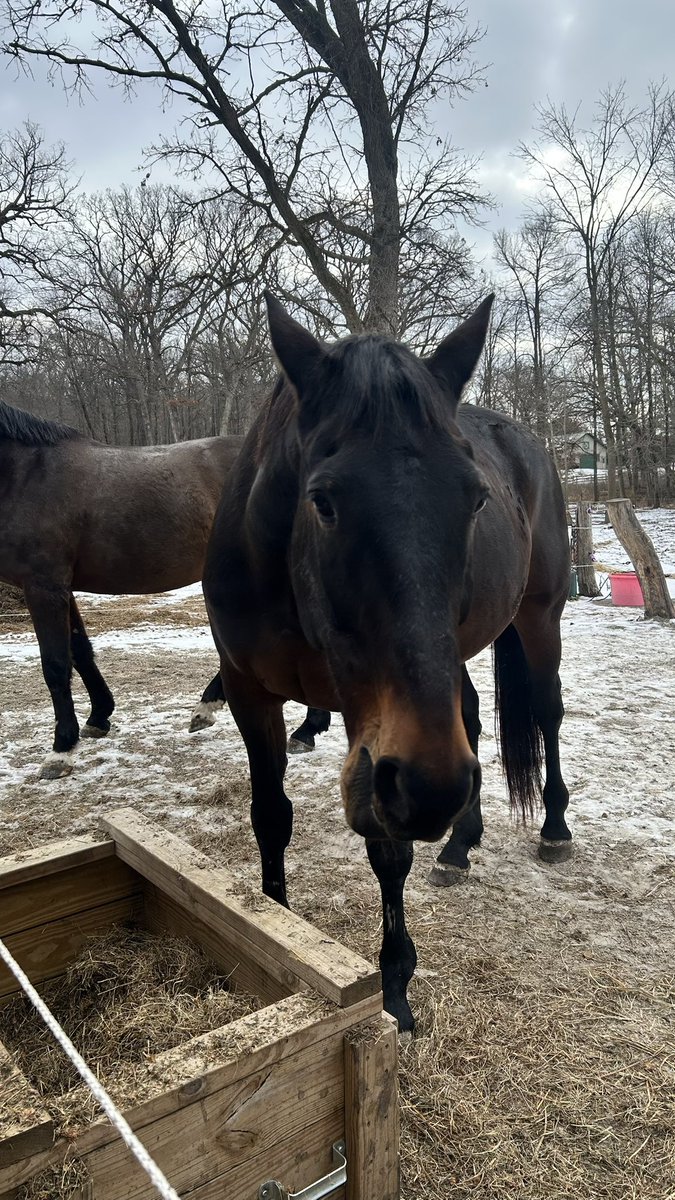 Ami Arwidmark tweet media