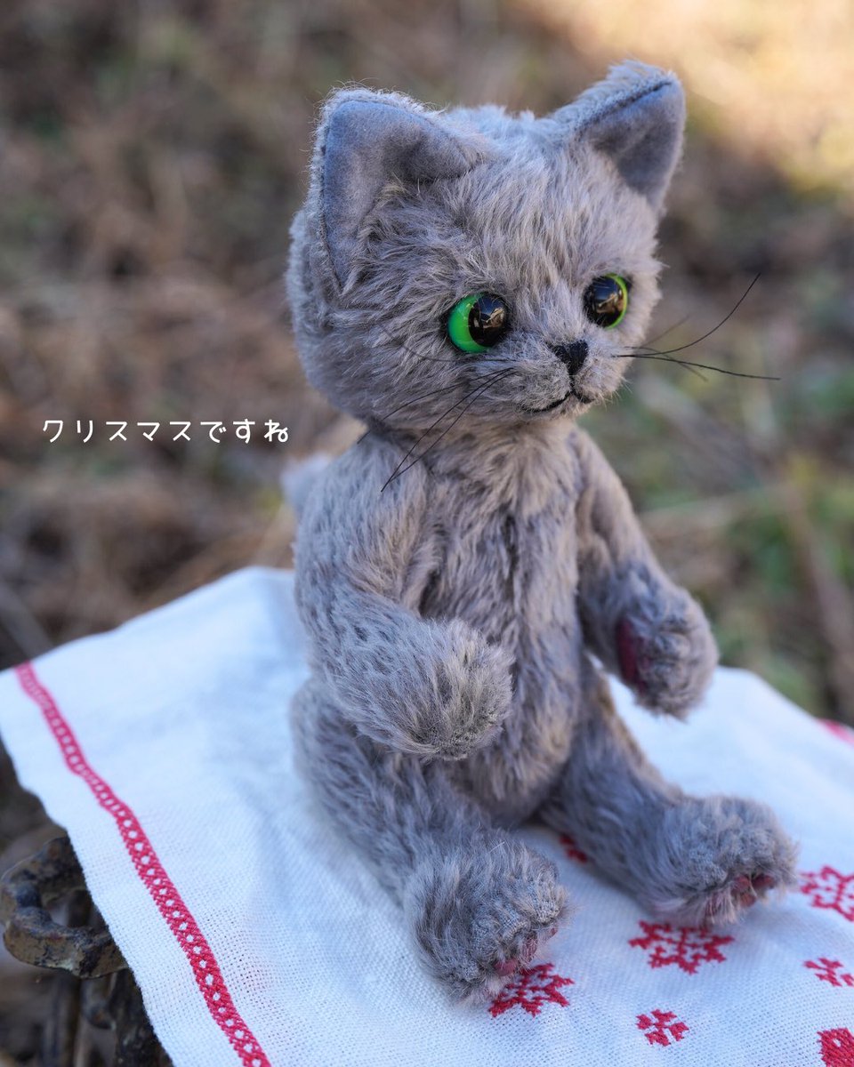 nekobear1's tweet photo. オーダーっ子ちゃん
クリスマスに誕生しました😊 https://t.co/mje62R90DH