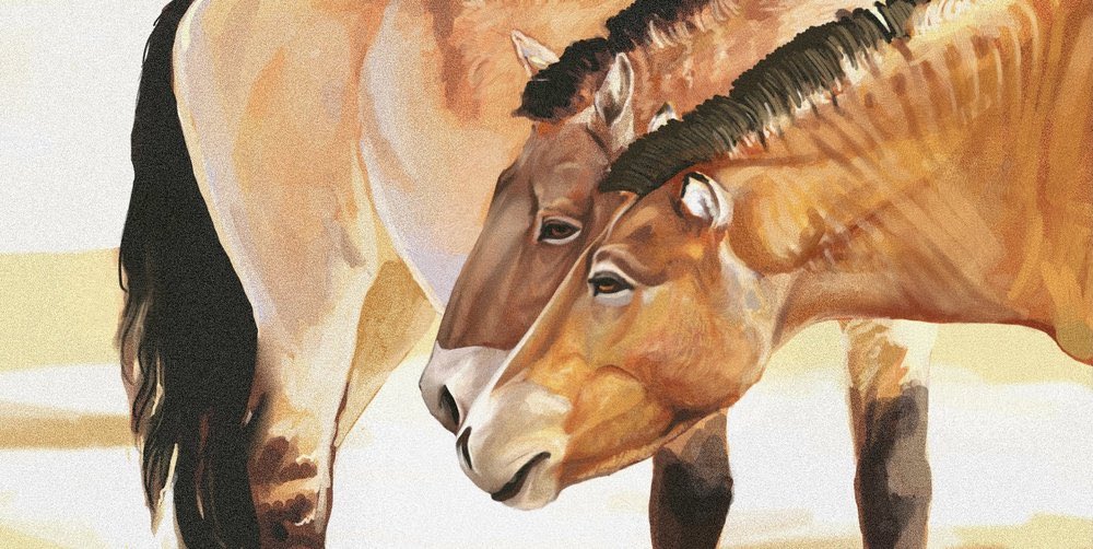 Equus ferus paintin’ 🐴