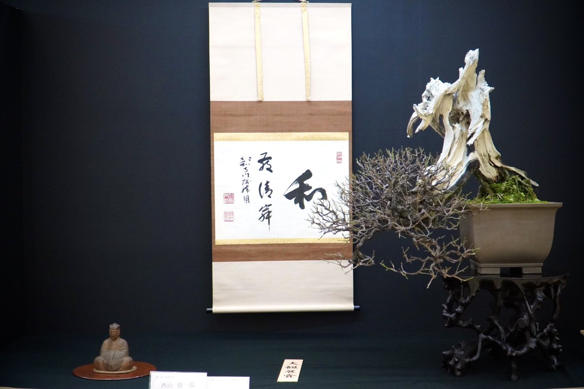 makikoba7's tweet image. Prunus mume displayed at 44th Taikan exhibition 2024.
#japaneseapricotbonsai #bonsai #yabai #taikanexhibition #野梅盆栽 #大観展2024 #powertothepeople