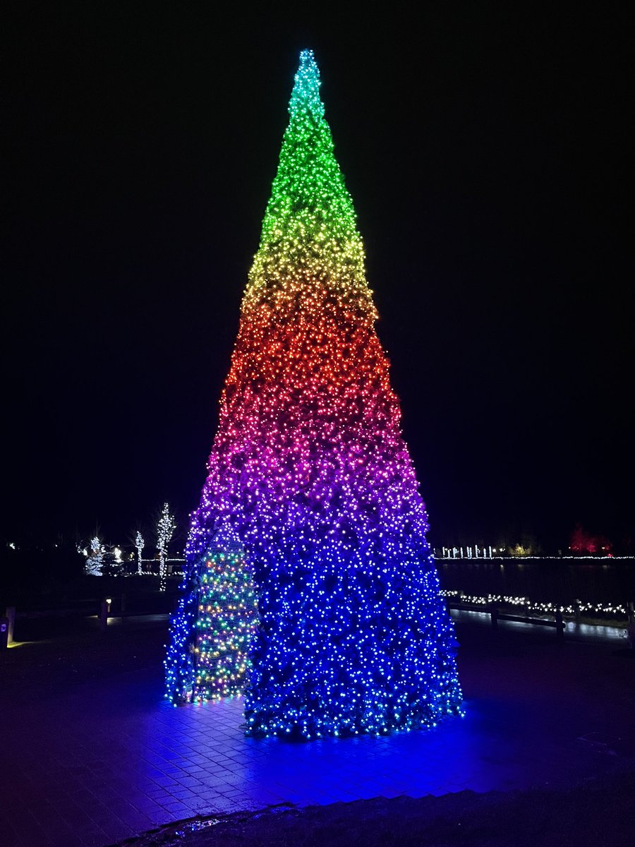 Merry Christmas 🎄