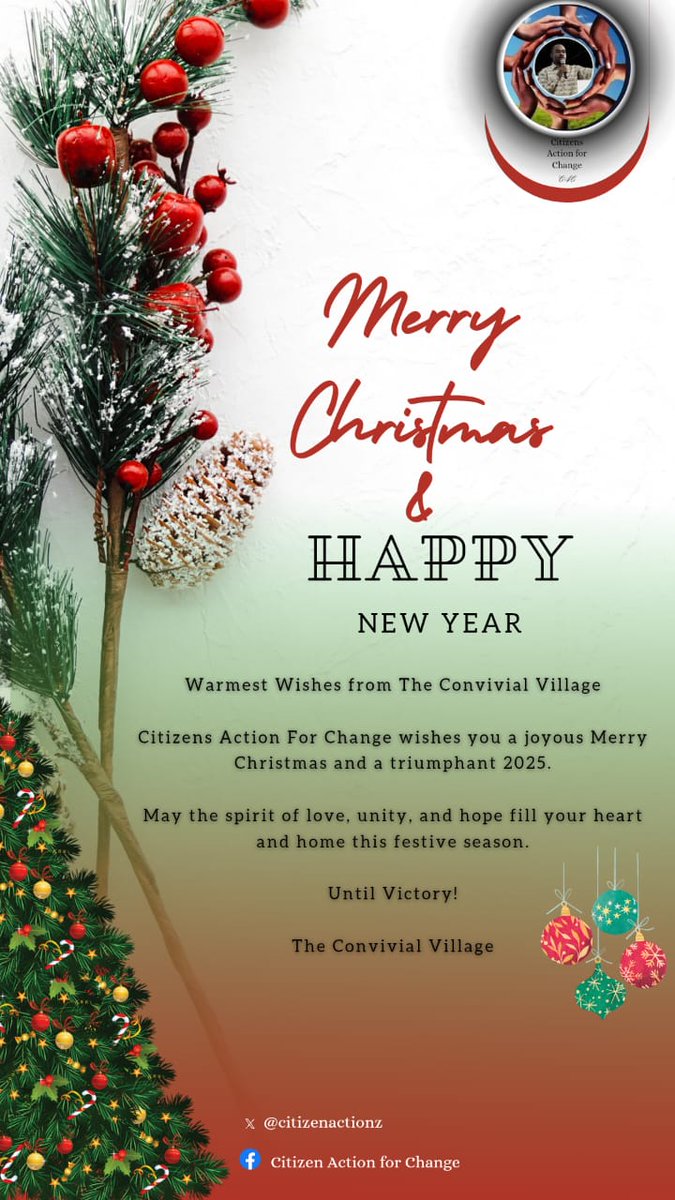 A heartfelt THANK YOU to each and every one of you who stood with us throughout our journey for a free fair equal and just Zimbabwe for all! Your unwavering support, generosity, and kindness mean the world to us.

To those who donated cash, goods, and services - your
