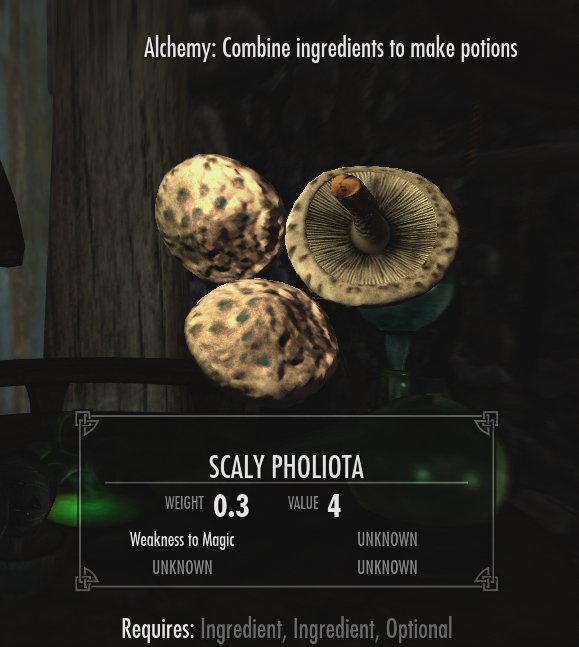 TheLadyGoatess's tweet photo. Elder Scrolls Ornaments Day 24: Scaly Pholiota

#TESOonline #ESOFam #ElderScrollsOnline https://t.co/QUlADJxVvm
