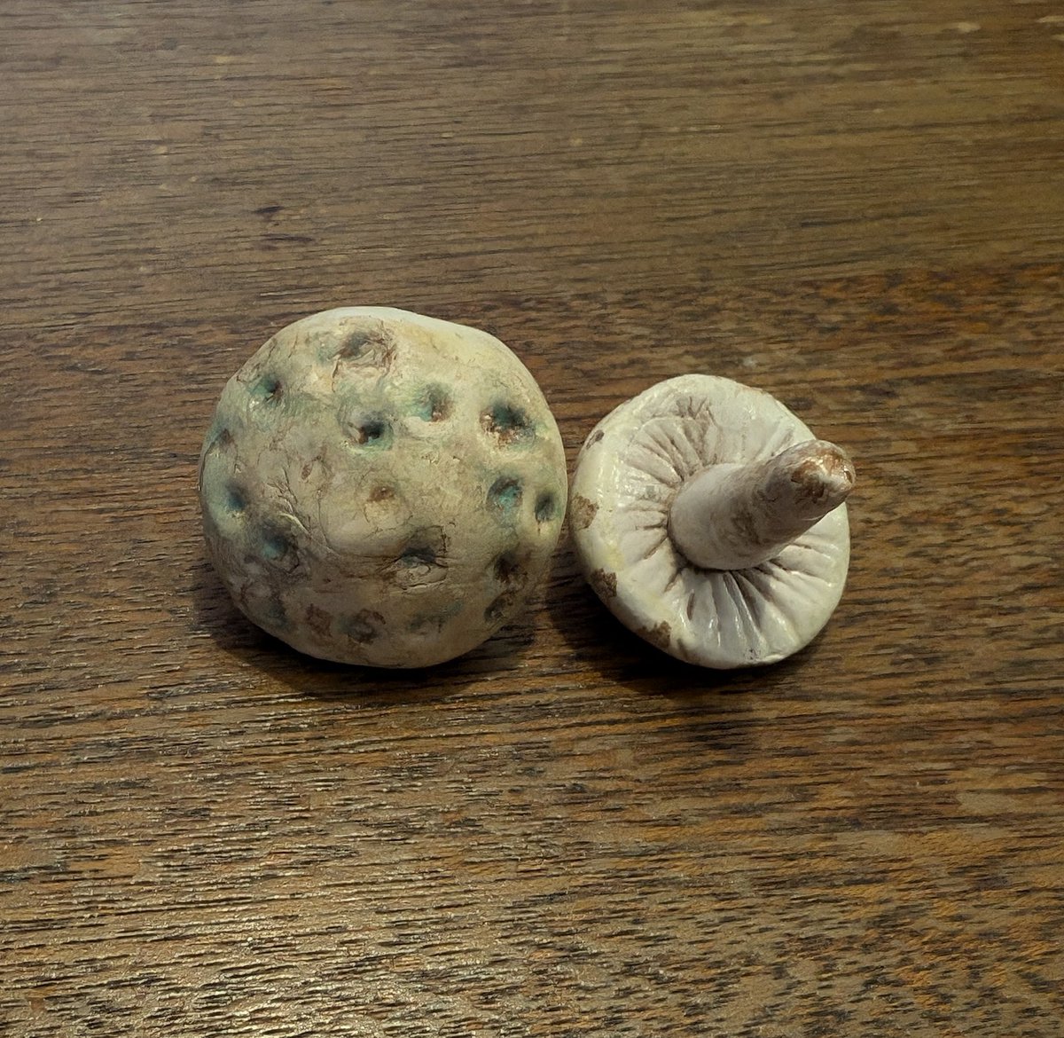 TheLadyGoatess's tweet photo. Elder Scrolls Ornaments Day 24: Scaly Pholiota

#TESOonline #ESOFam #ElderScrollsOnline https://t.co/QUlADJxVvm