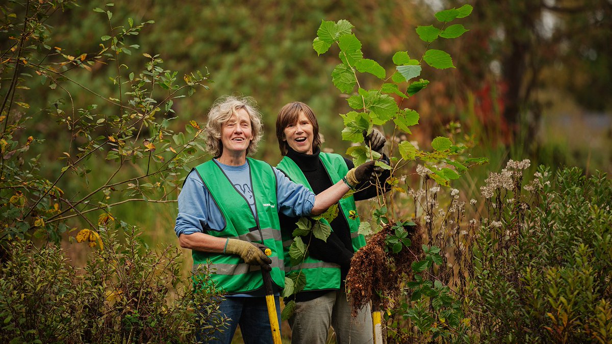 MeerBomenNu tweet media