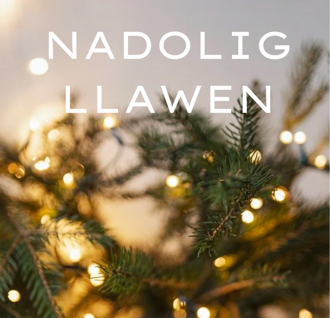 Nadolig Llawen 🎄
 🎄Happy Christmas