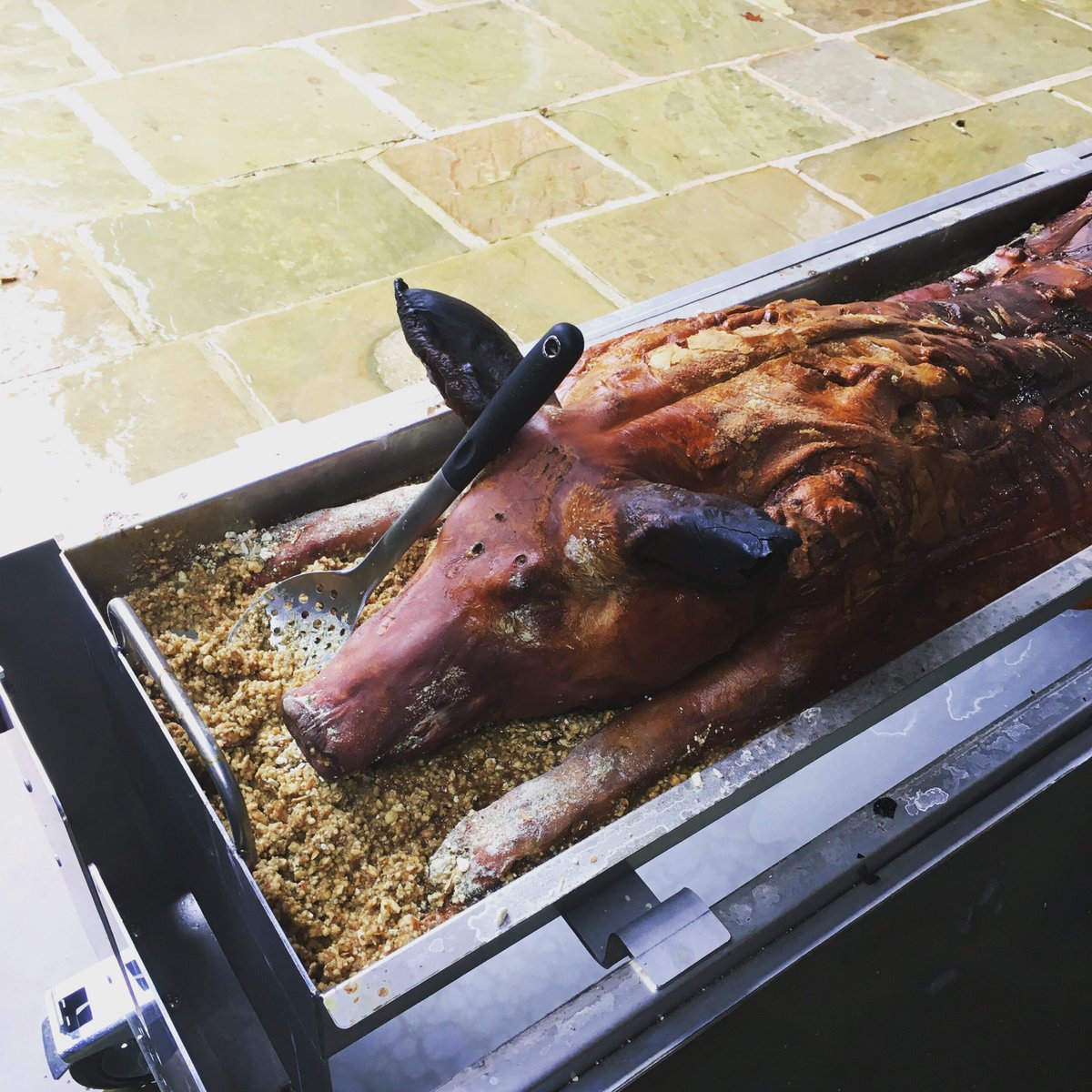 hrrydrgvl's tweet photo. @BGatesIsaPyscho Don’t see any issue with this. Never had the pleasure of a hog roast on bonfire night? https://t.co/oHpAGSJePt