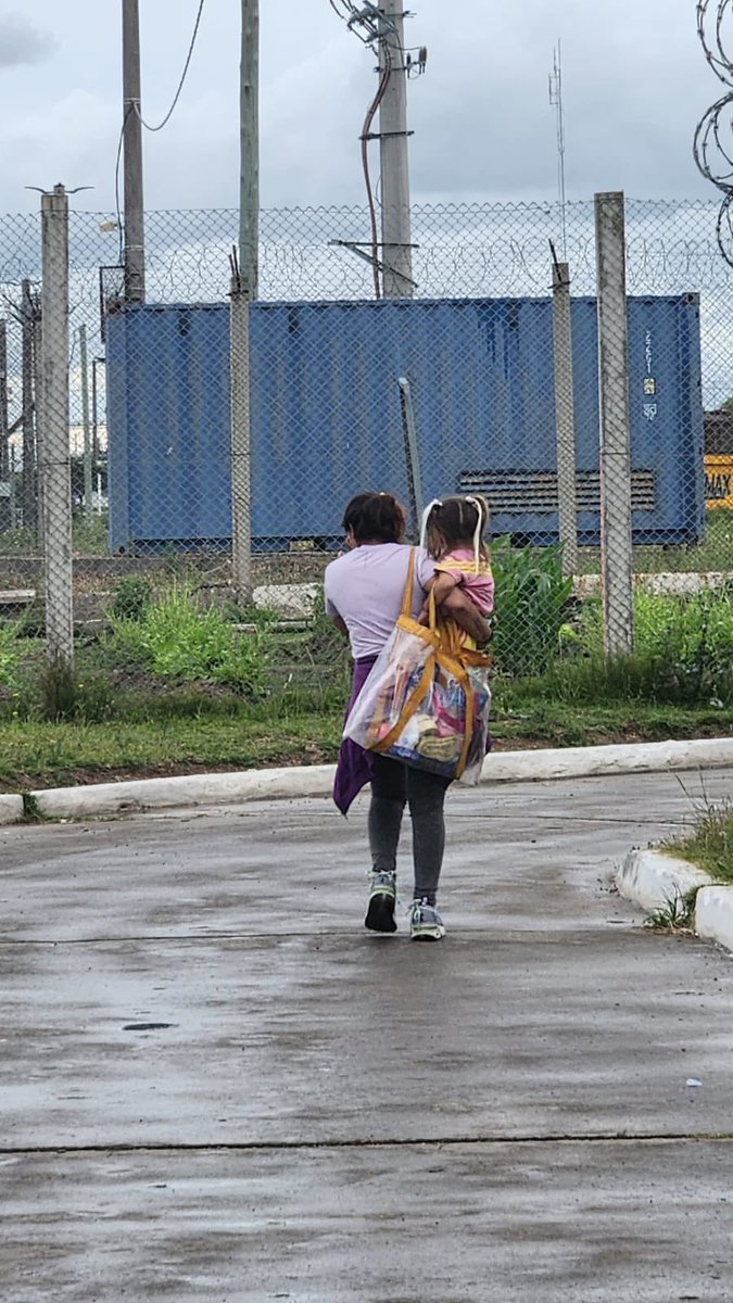 OficinaComisionadoP tweet media