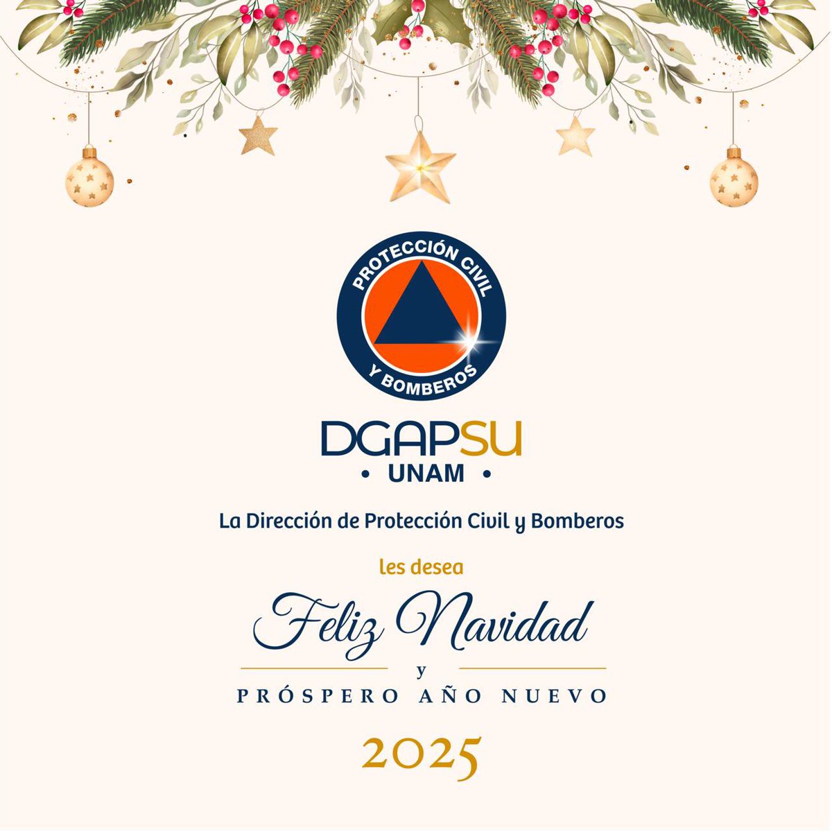 PCUNAM's tweet photo. La Dirección de Protección Civil y Bomberos les desea #FelicesFiestas y próspero #Año2025. 🎄🪅 https://t.co/TCd0E0pT2L