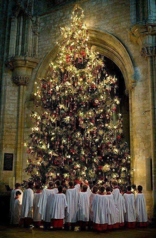 IRFMx's tweet photo. 🎄 Chers frères et sœurs en Christ, chers amis et lecteurs, très saint et joyeux réveillon �� tous, et mes meilleurs vœux de Paix, de Bien et de santé en ce No��l 2024...

... et la bénédiction de Sa Sainteté Pie XII pour tous ! 🙏🏻 https://t.co/Zma8xoty9F