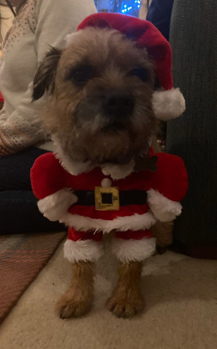 Charlie Sowerby tweet media