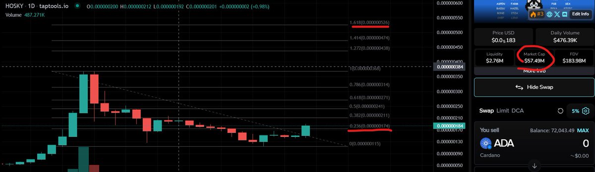 $HOSKY update:

Remember in our last update when I said once it breaks the 0.236 fib, it may be the start of a new uptrend? 

Well, 👀. Thanks to the dude who bought 80k USD worth of $HOSKY (why? just why? It's worthless. 😅)

1.618 is the short term target. That will be 2x from