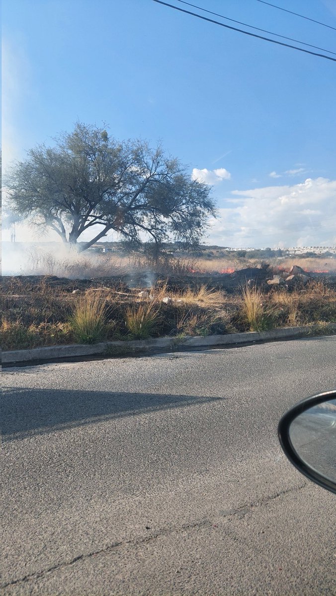 ferborgonio's tweet photo. @mpio_El_Marques Hay un incendio a un costado de la comunidad de El Carmen, enfrente de la entrada a Brianzzas residencial, calle Epigmenio Gonzalez. Se reportó al 911 pero dicen que no tienen tiempo de respuesta 🫠 por favor canalicenlo y atiendanlo. https://t.co/3CWnQvxzR3