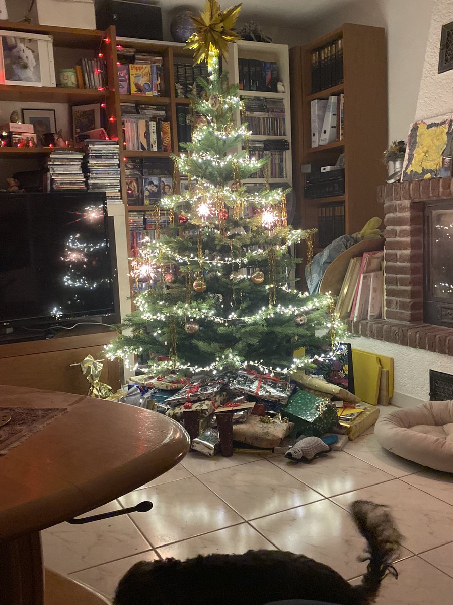 Tsukiya Whiskers tweet media