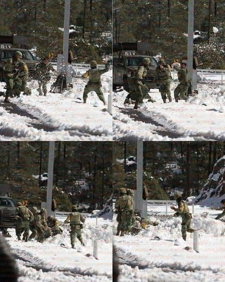 Foro_Militar's tweet photo. Relajando la disciplina un rato https://t.co/6r8LL17djg