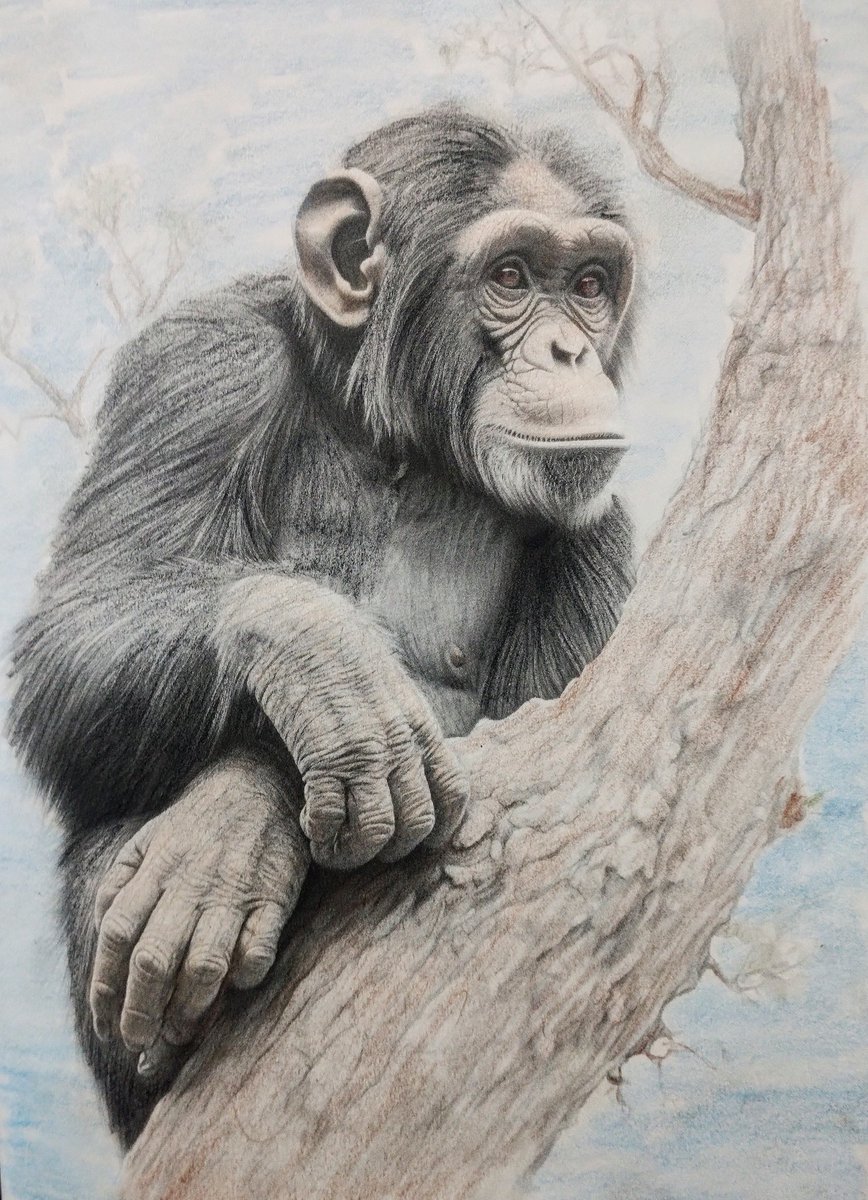 Russ Young tweet media