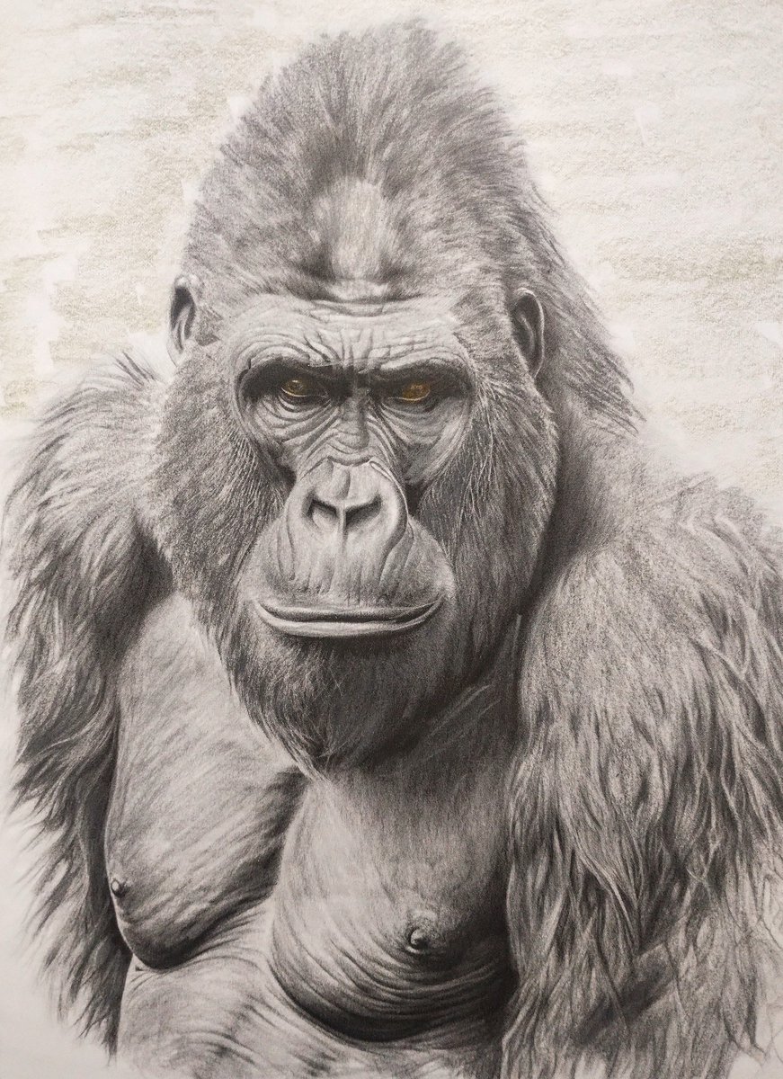 Russ Young tweet media