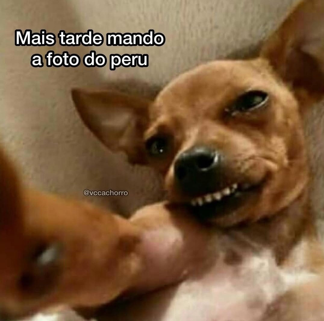 Um Feliz Natal a todos 🎄💫