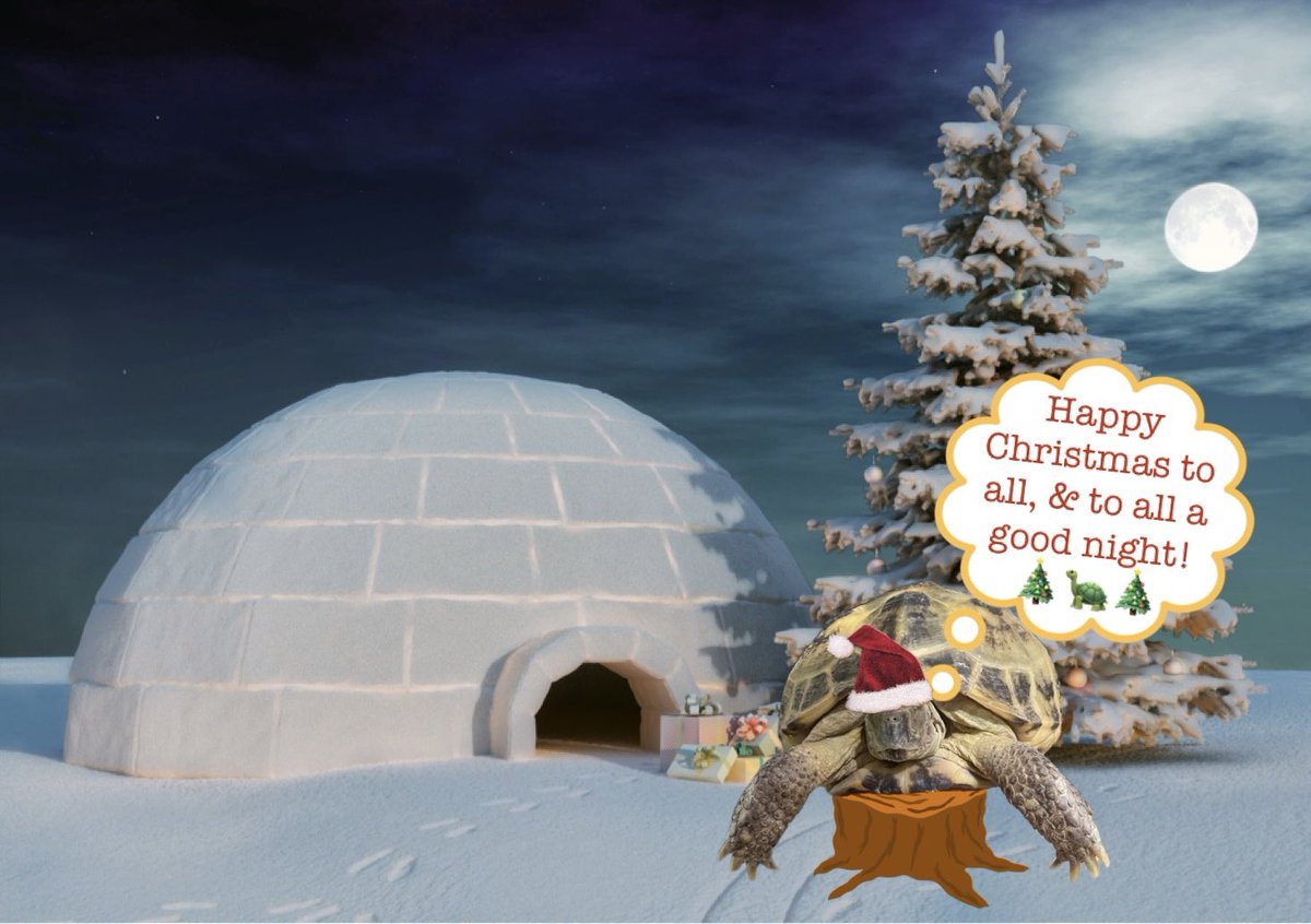 GrumpyBeak's tweet image. Merry Crispmouse to those who celebrate crispy mice, and happy holidays to all my lovely Twitter pals from me and my fridge! 🐢🎄