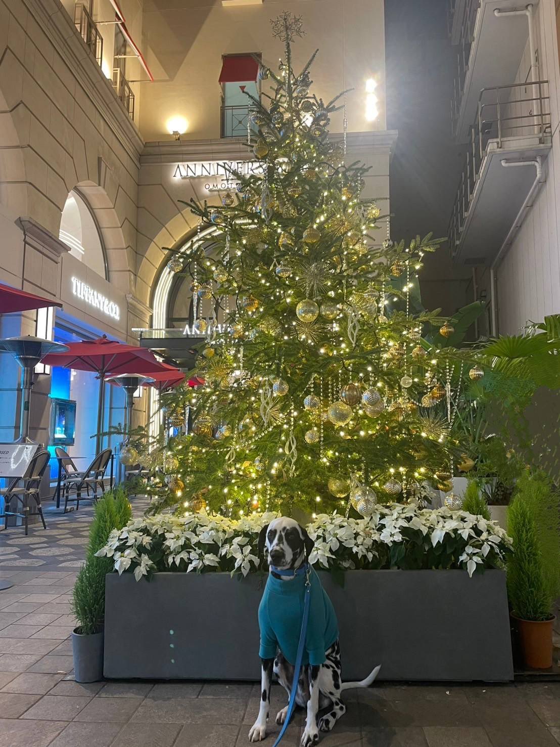 メリークリスマスwithすのーまん Amazon | クリスマス 3Dイルミネーション LEDムービングビック