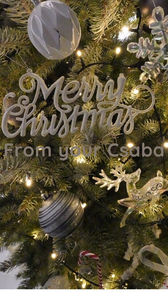 Merry Christmas #merrychristmas #merrychristmas2024 🎄