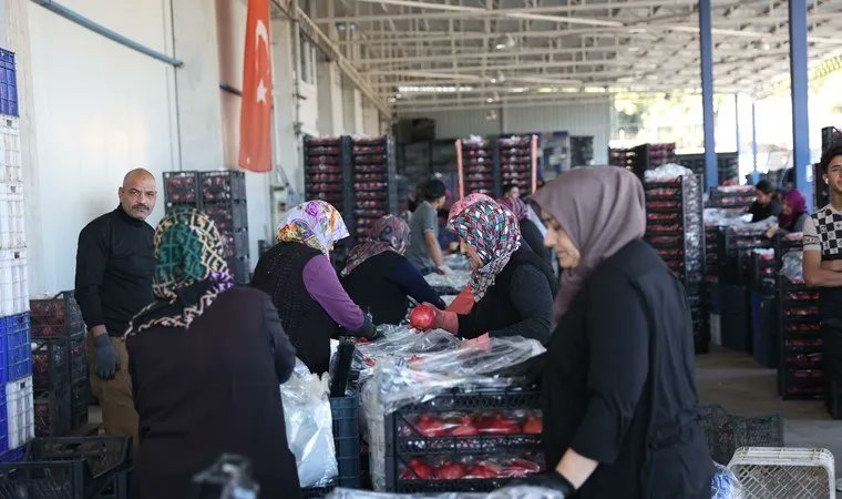 HabercisiM31371's tweet photo. Antalya'dan 49 ülkeye ihraç ediliyor! 150 bin ton üretiliyor...

https://t.co/zUVdHYFHow

#antalya #ihraç #nar #tarım #çiftçi #üretici #tarımhaberleri https://t.co/ubM5jIGVtJ