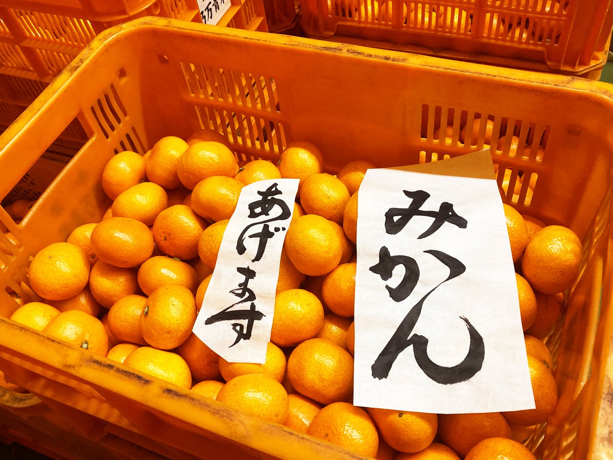 2024年最後のみかん配り！24時間限定で12/26 AM7:30までにフォロー＆この投稿をリポストでちびみかん5kgを2名様に年内にお届けします！