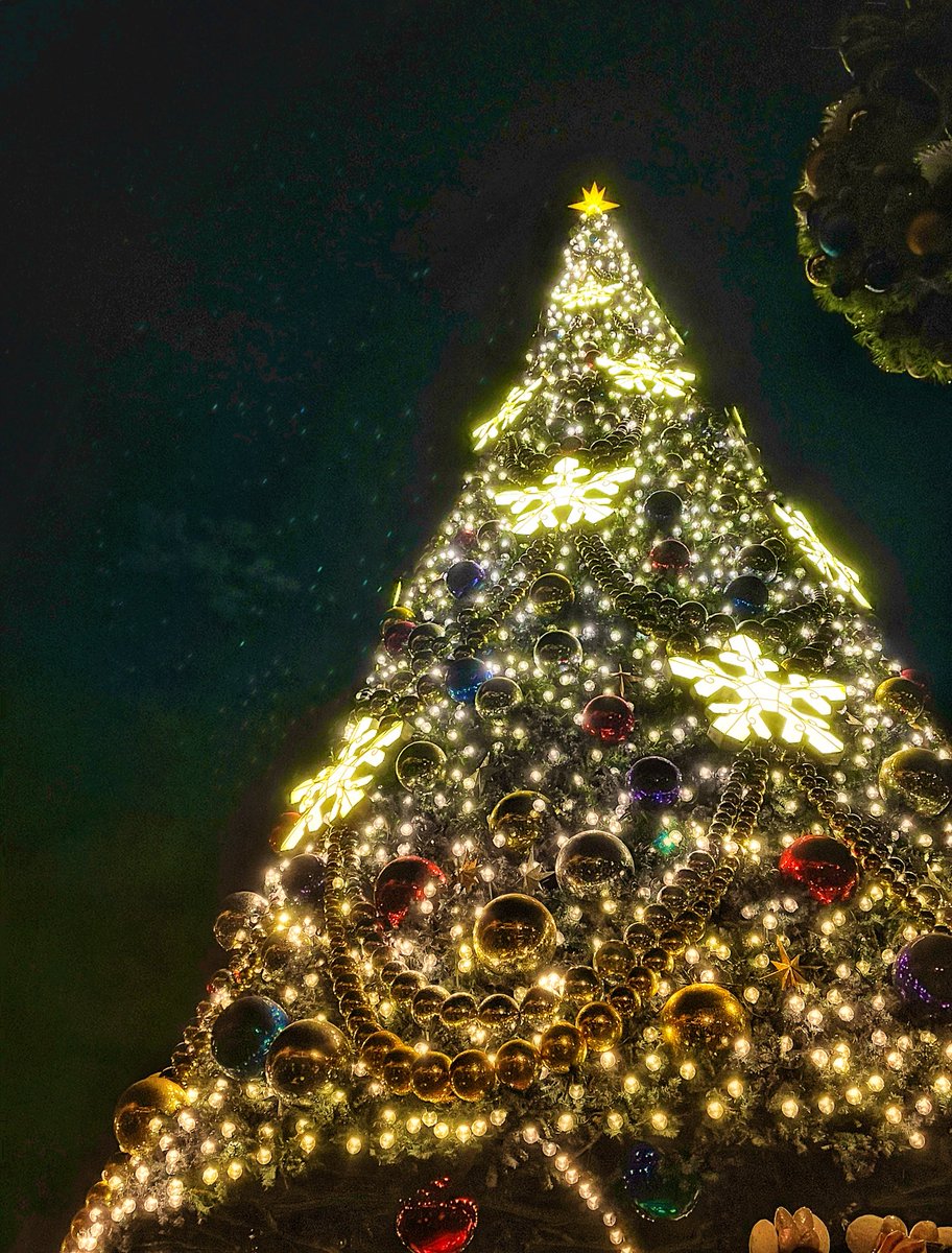 Happy Merry Christmas 🎄 
Happy Holidays 🎄