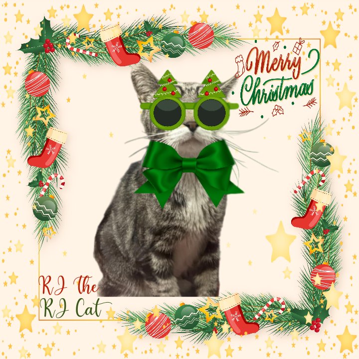 RJ the RJ Cat2 tweet media