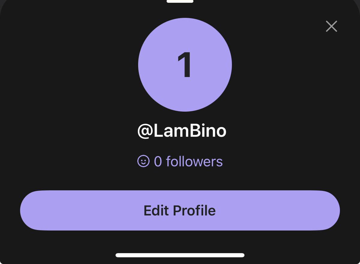 Lam₿ino👑 tweet media