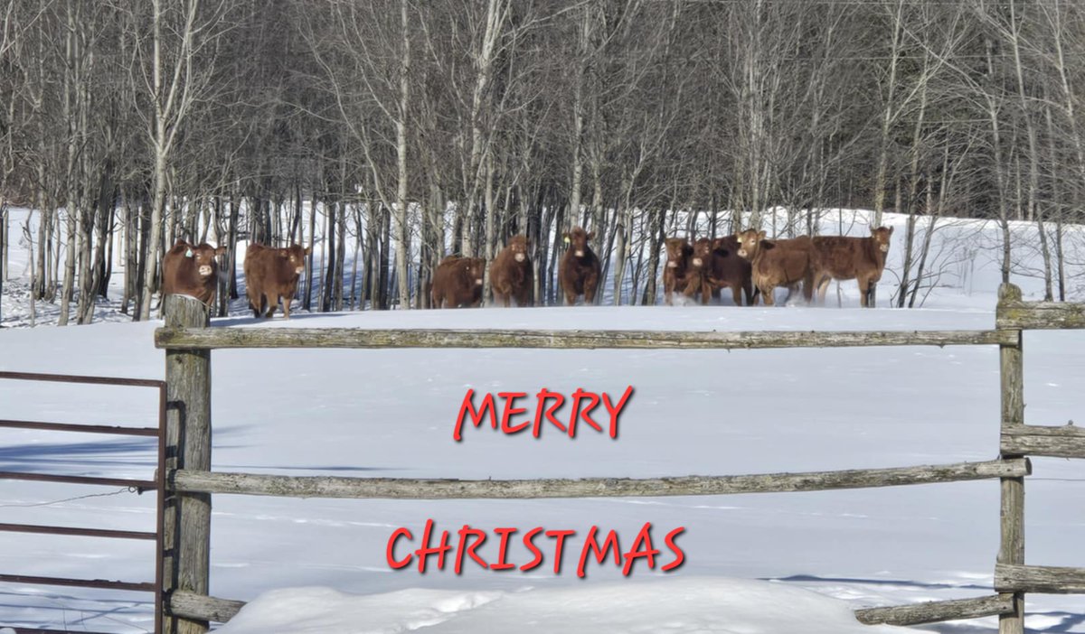 Mary Lynn Lawrence tweet media