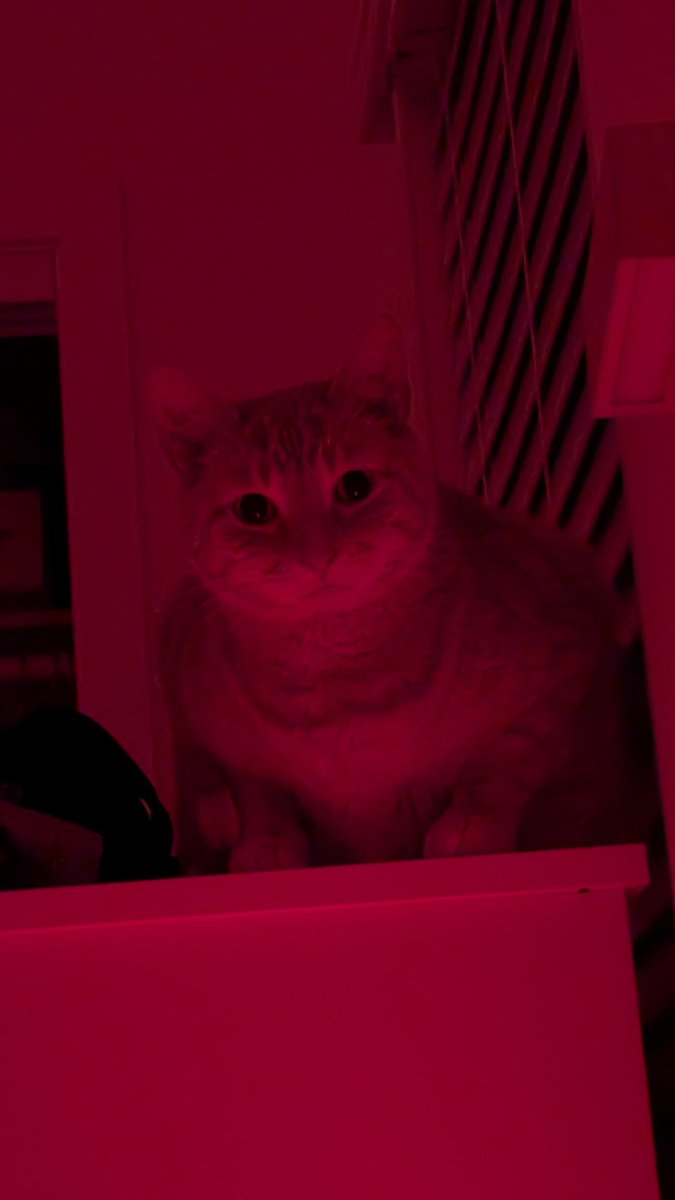 Going live for a bit! Come hang and drop me some good maps!