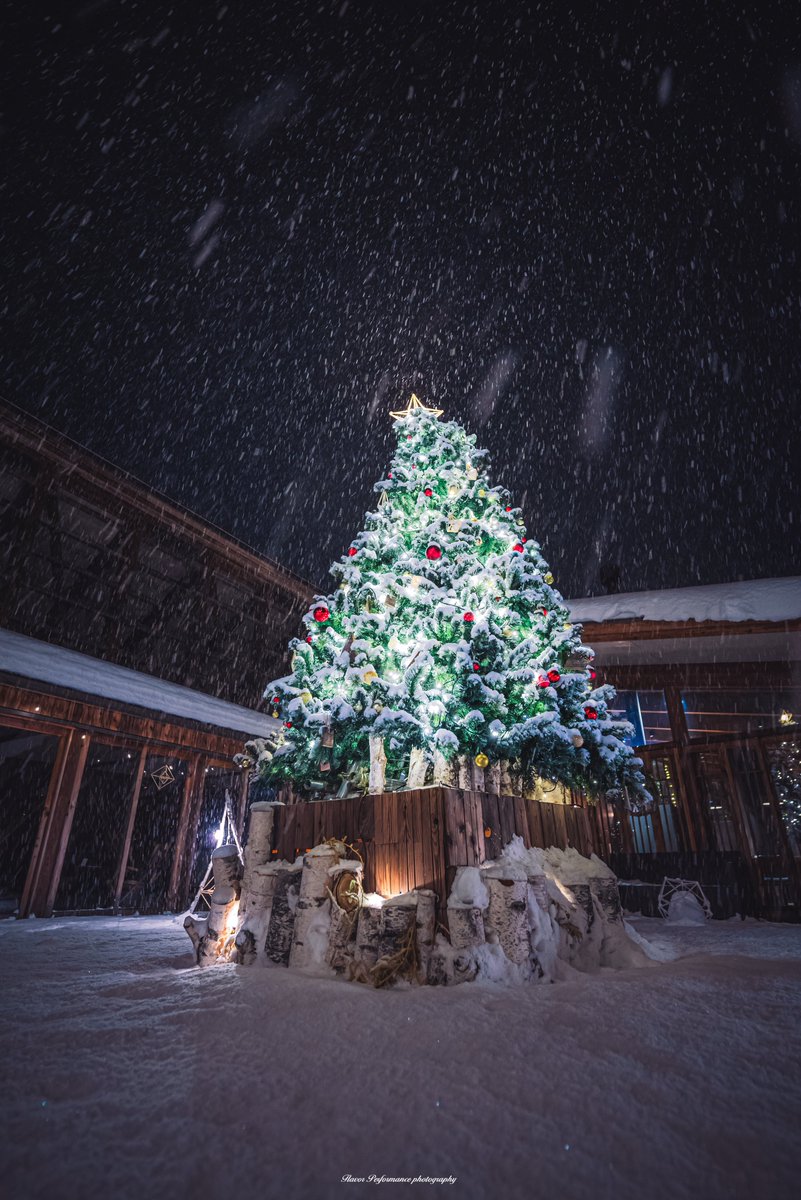 masashikuncom's tweet photo. 🌲merry Christmas 🎄

しんしんと本降り&amp;寒空の中
雪積もるクリスマスツリーが綺麗だった
2024/12/23 https://t.co/J1kmMNCwFv