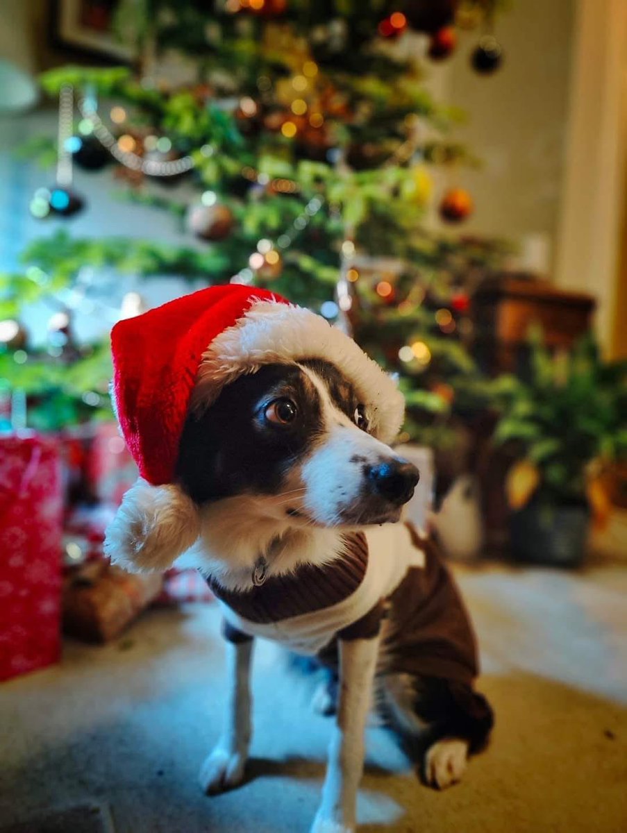 Holme Valley MRT tweet media