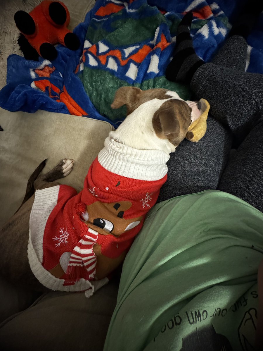 SeriouslySnofie's tweet photo. Doing some last minute centering exercises before @NoradSanta spots #Santa🎅🏻 in US airspace!! Ready to escort him through West Virginia!! #ZSHQ #ChristmasEve #Christmas #Christmas2024 

@ZombieSquadHQ 
@4NZKWxGator https://t.co/6AFO9gR6RD