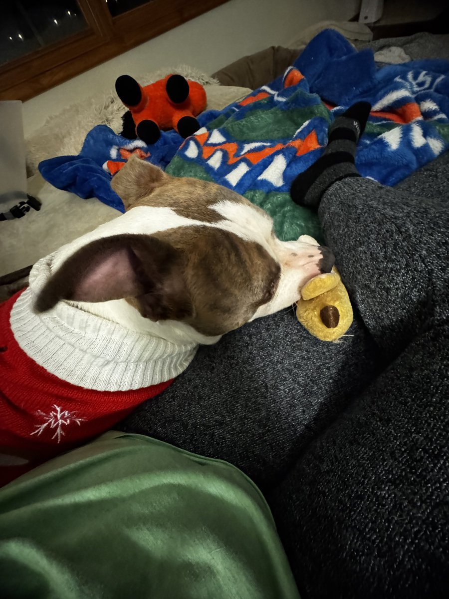 SeriouslySnofie's tweet photo. Doing some last minute centering exercises before @NoradSanta spots #Santa🎅🏻 in US airspace!! Ready to escort him through West Virginia!! #ZSHQ #ChristmasEve #Christmas #Christmas2024 

@ZombieSquadHQ 
@4NZKWxGator https://t.co/6AFO9gR6RD