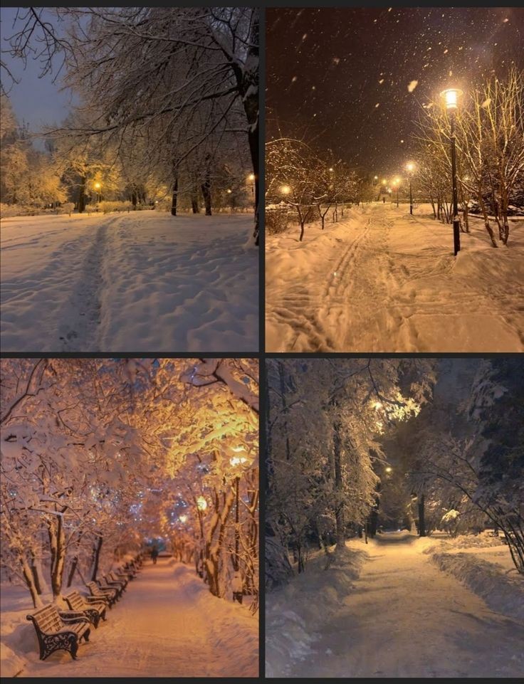 elemmiressoul's tweet photo. snowy days.🩶 https://t.co/5uR1RvUfdj