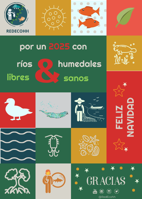 RedEcoHH tweet media