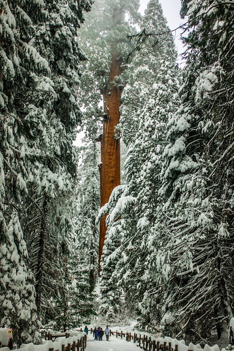 Merry Christmas from me and my family to you and yours! May there be something wonderful under the tree for you . .