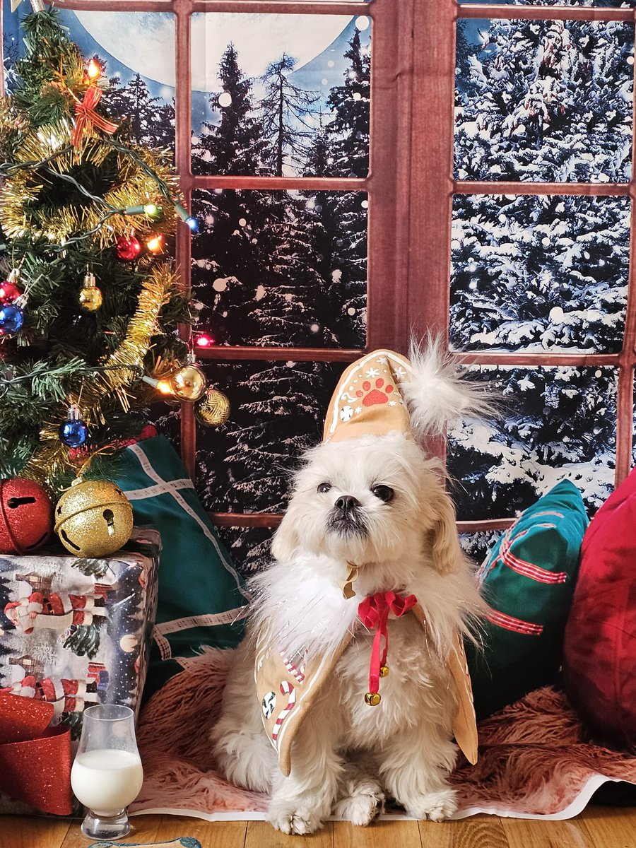 Merry Christmas from us and Doug!