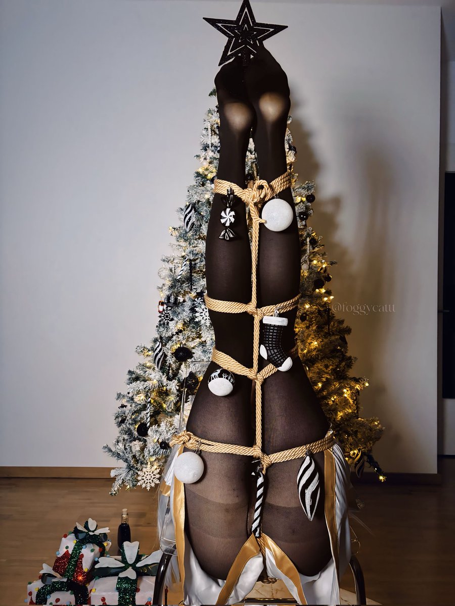 SoftFoggyCat's tweet photo. Don’t mind me, just dropping off the gifts under your tree 🤭 https://t.co/4H9DYHZWb6