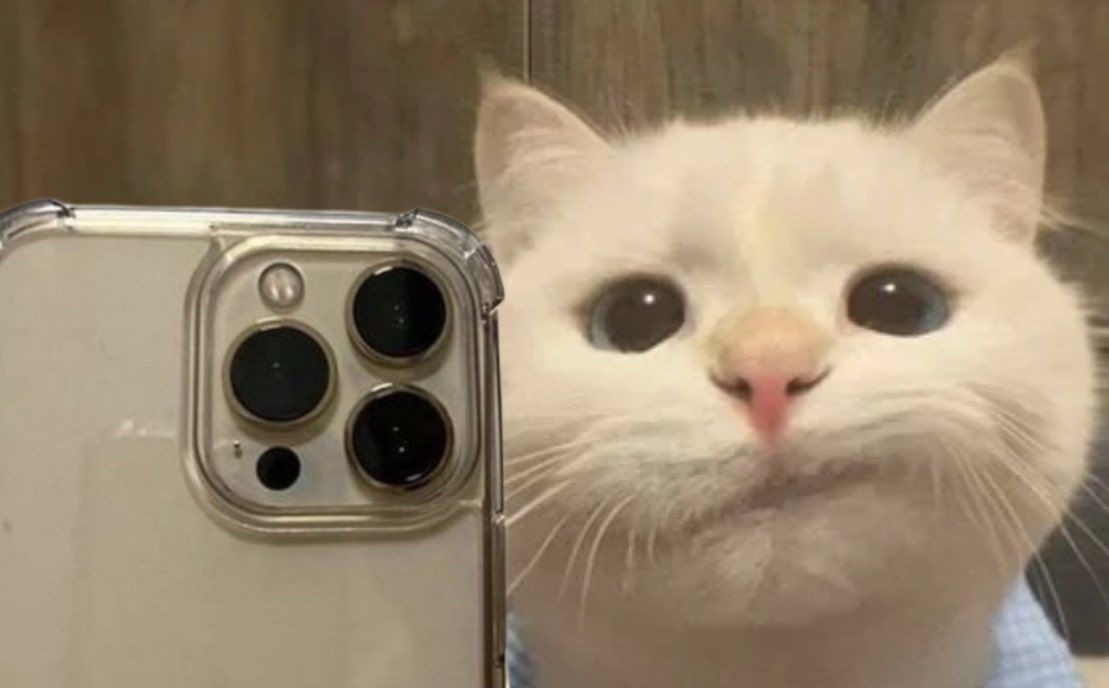 Funny fact 😁,
98% of SOLANA Memecoins teams
Disappear when market dips for a lil long period of time,
expect to see less activity, less posts, less updates!
12h ago, 1d ago, 2d ago, 5d ago posts are common to be seen 🙃

Ape red days, not green ones
That must be studied well! 🫶